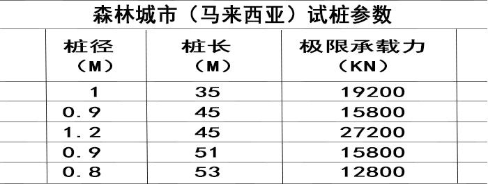 碧桂園森林城市（馬來西亞）項(xiàng)目